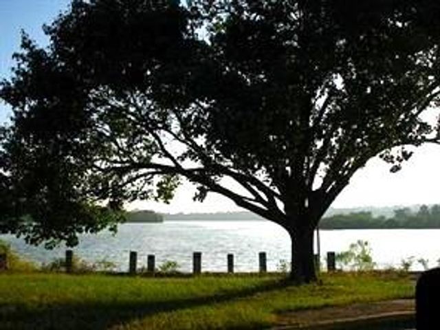 TBD Burmuda Dune Drive, Huntsville, TX 77320