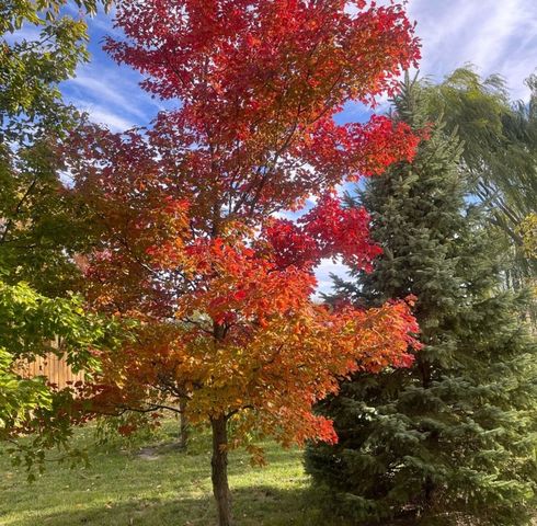 4709 W Iris Lane, Monee, IL 60449