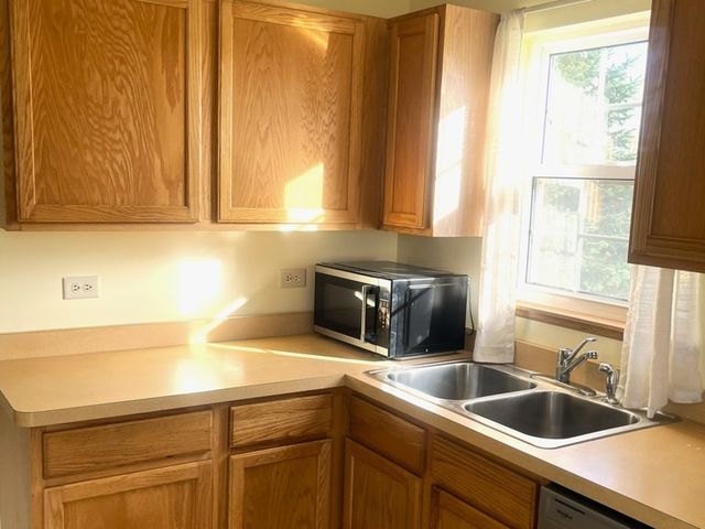 4709 W Iris Lane, Monee, IL 60449