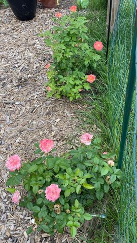 3028 Glendale AVENUE, La Crosse, WI 54601