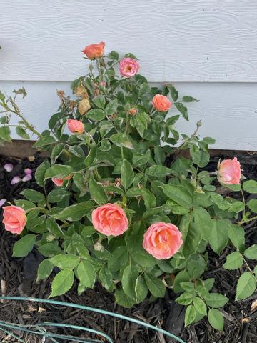 3028 Glendale AVENUE, La Crosse, WI 54601