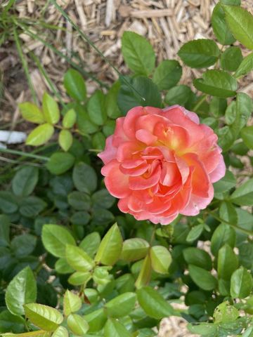 3028 Glendale AVENUE, La Crosse, WI 54601