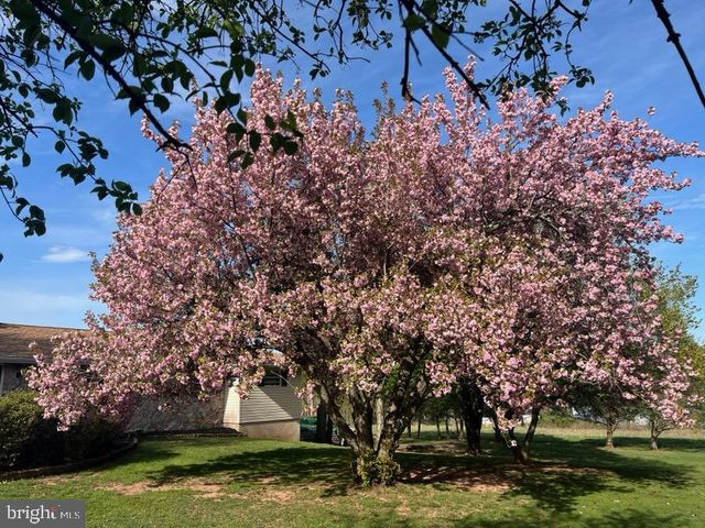 1433 FLINT HILL RD, Coopersburg, PA 18036