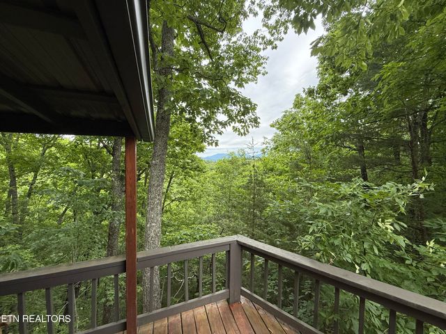 4355 Wilhite Rd 2, Cosby, TN 37722