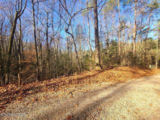 Lot 26 Walden Cove Way, Sevierville, TN 37862