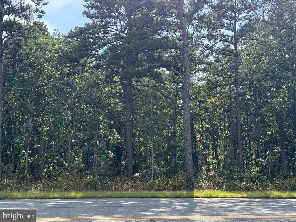 BLACK HORSE PIKE, HAMMONTON, NJ 08037 — photo 2