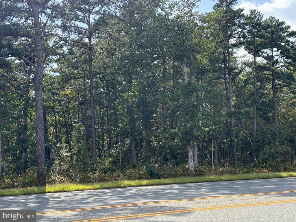 BLACK HORSE PIKE, HAMMONTON, NJ 08037 — photo 3