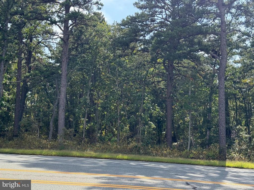 BLACK HORSE PIKE, HAMMONTON, NJ 08037 — photo 4