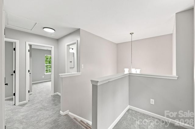 8207 Belmont Stables Drive, Charlotte, NC 28216