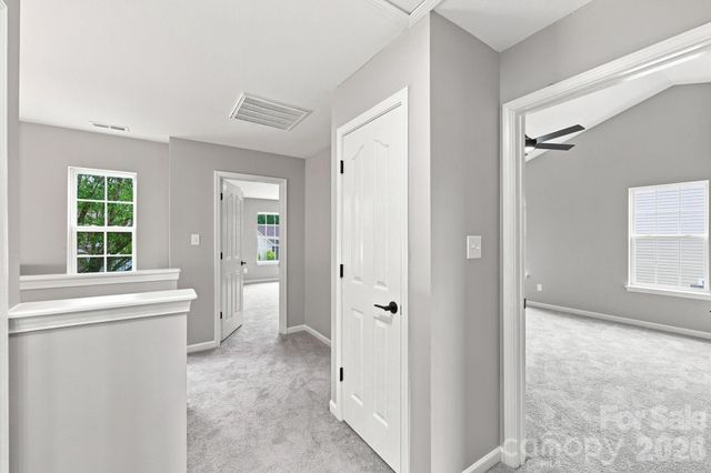 8207 Belmont Stables Drive, Charlotte, NC 28216