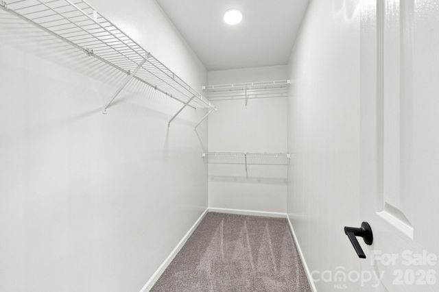 8207 Belmont Stables Drive, Charlotte, NC 28216