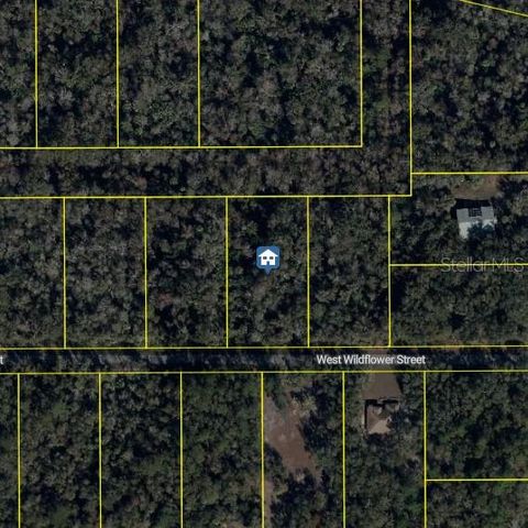 11939 W WILDFLOWER STREET, Crystal River, FL 34428
