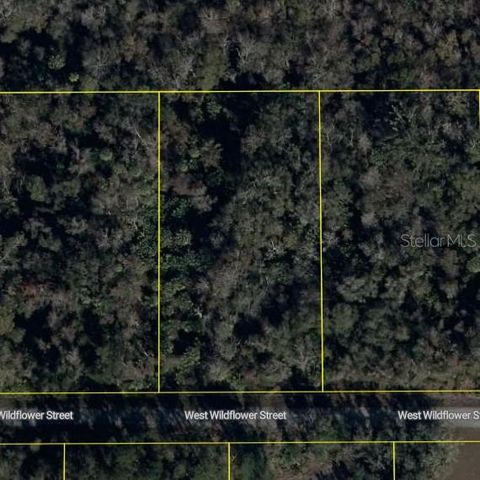 11939 W WILDFLOWER STREET, Crystal River, FL 34428
