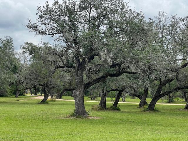 1218 Forest Oak Drive, Altair, TX 77442