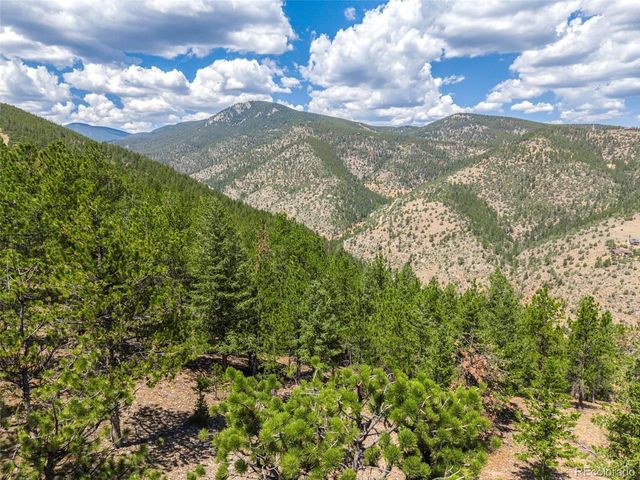 601 Old Glory Rd, Idaho Springs, CO 80452