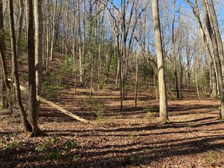 TBD Wood Collett Cove, Andrews, NC 28901