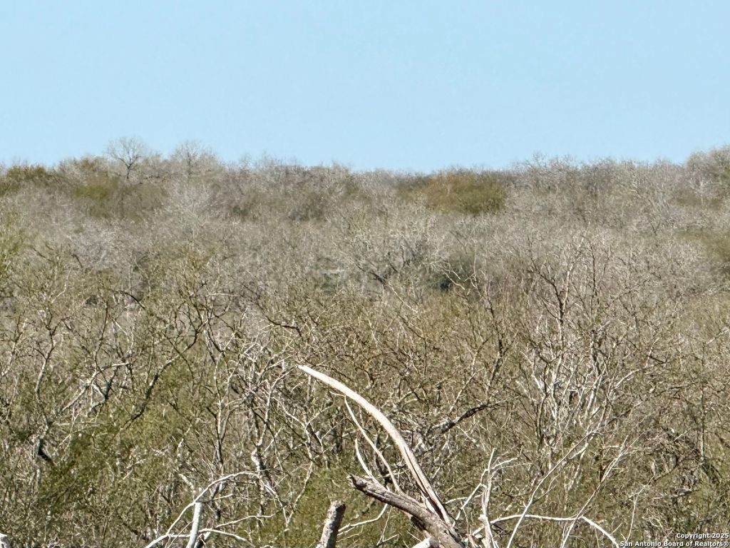 0 CR 148, Kenedy, TX 78119