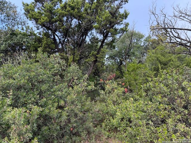 19011 Snuggle Cliff, San Antonio, TX 78255