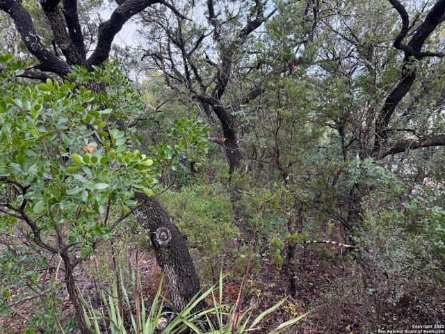 19011 Snuggle Cliff, San Antonio, TX 78255