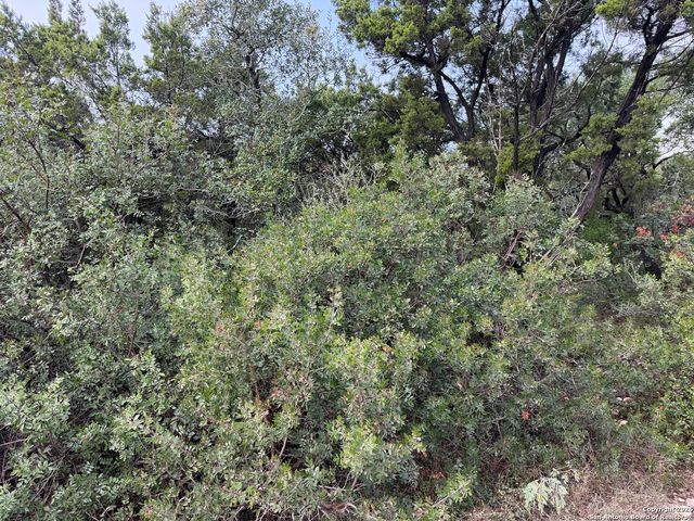 19011 Snuggle Cliff, San Antonio, TX 78255