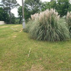 135 Pierce Lane, Prattville, AL 36067