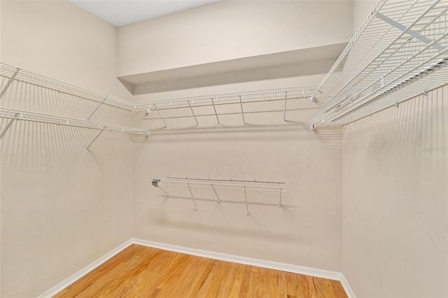 4031 NW 34TH DRIVE, Gainesville, FL 32605