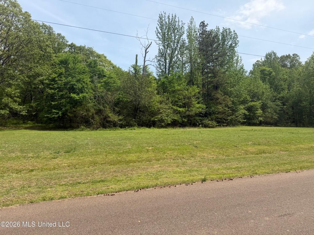 Shamrock Loop, Byhalia, MS 38611 — exterior