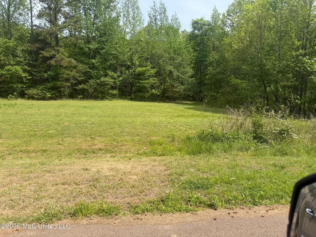 Shamrock Loop, Byhalia, MS 38611 — photo 2