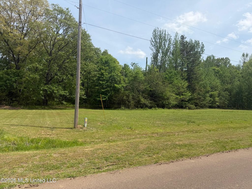 Shamrock Loop, Byhalia, MS 38611 — photo 3