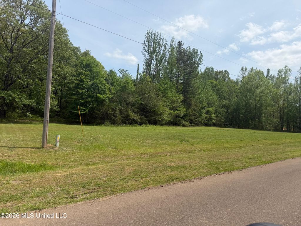 Shamrock Loop, Byhalia, MS 38611 — photo 4