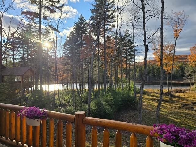 927 Ashueot Drive, Washington, NH 03280