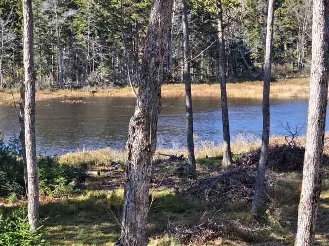 927 Ashueot Drive, Washington, NH 03280