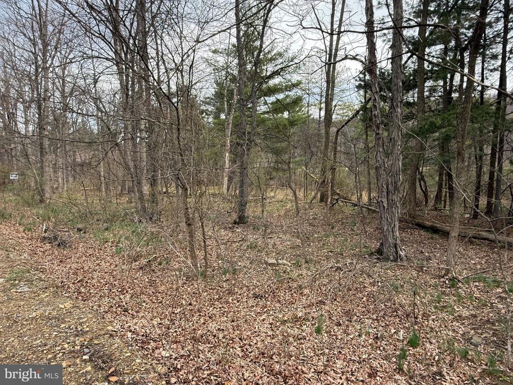 TIMBERLAKE ESTATES - LOT 5, New Creek, WV 26743