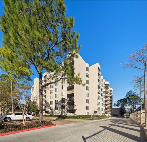 661 Bering Drive 504, Houston, TX 77057
