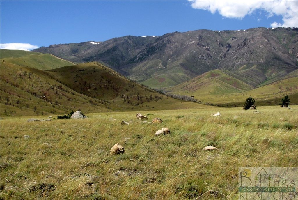 NHN Ruby Creek ROAD, Belfry, MT 59008 photo 14