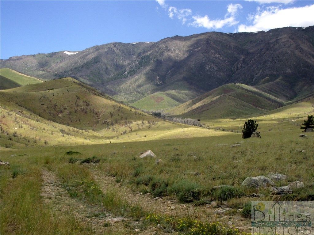 NHN Ruby Creek ROAD, Belfry, MT 59008 photo 16