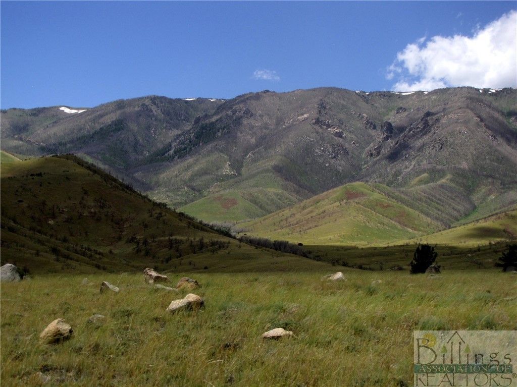 NHN Ruby Creek ROAD, Belfry, MT 59008 photo 2