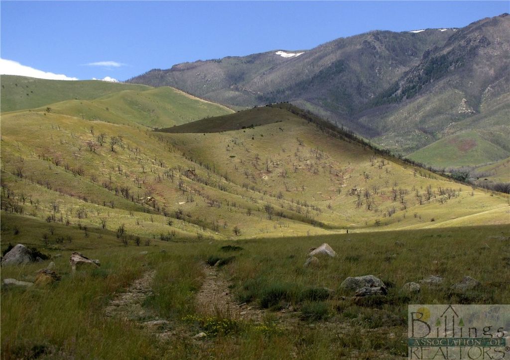 NHN Ruby Creek ROAD, Belfry, MT 59008 photo 26