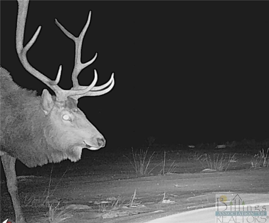 NHN Ruby Creek ROAD, Belfry, MT 59008 photo 27