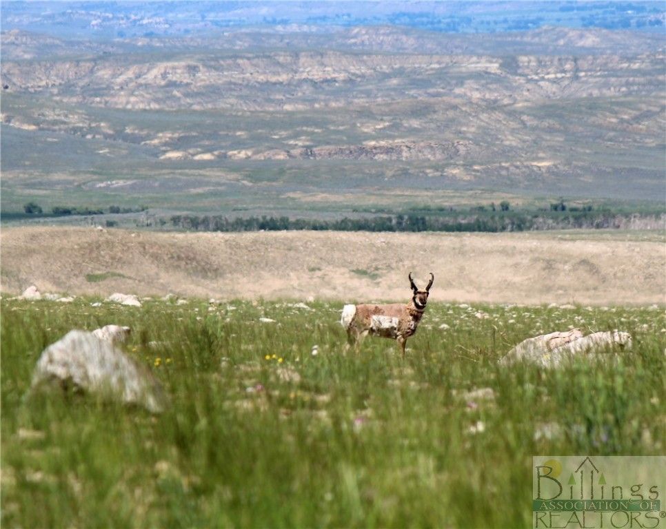 NHN Ruby Creek ROAD, Belfry, MT 59008 photo 28
