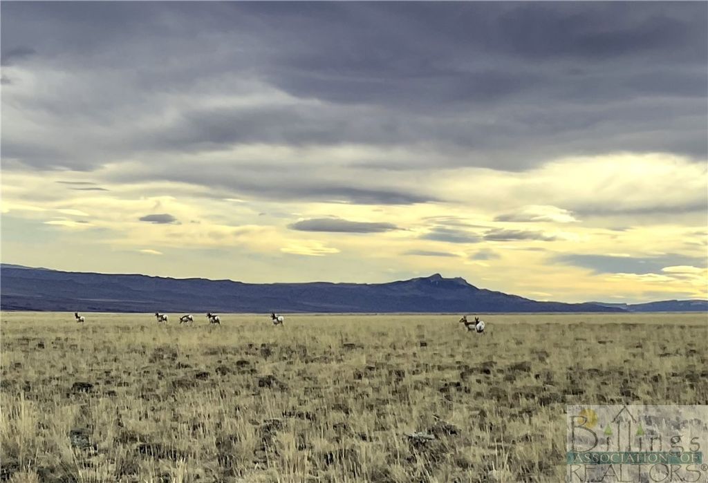 NHN Ruby Creek ROAD, Belfry, MT 59008 photo 29