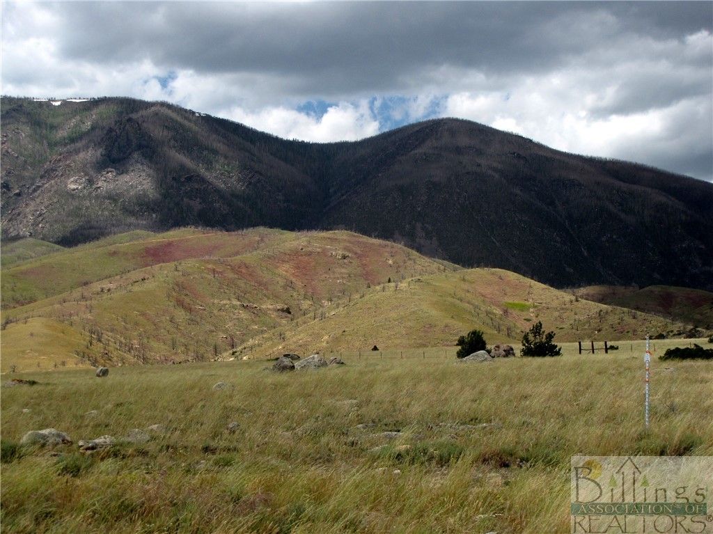 NHN Ruby Creek ROAD, Belfry, MT 59008 photo 8