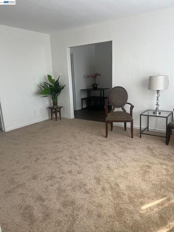 764 Pierce St, Albany, CA 94706