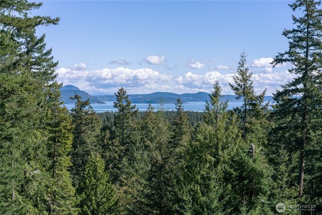 123 South Ridge Road, Decatur Island, WA 98221