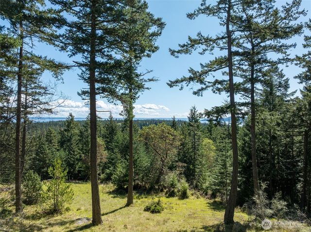 123 South Ridge Road, Decatur Island, WA 98221
