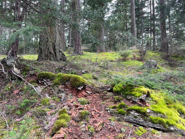 123 South Ridge Road, Decatur Island, WA 98221