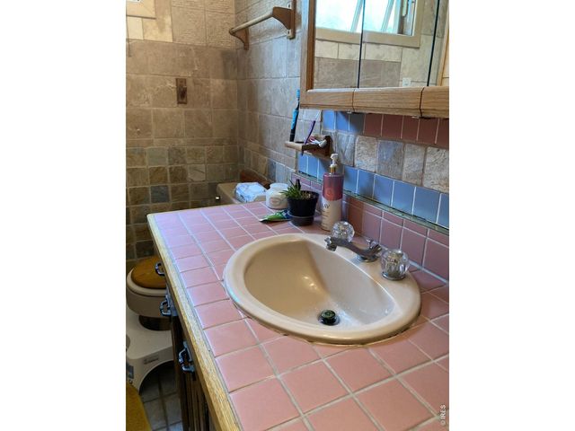 1064 Cold Springs Rd, Nederland, CO 80466