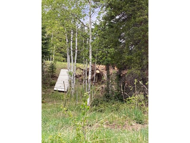 1064 Cold Springs Rd, Nederland, CO 80466