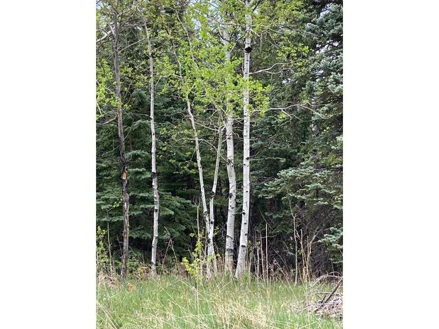 1064 Cold Springs Rd, Nederland, CO 80466