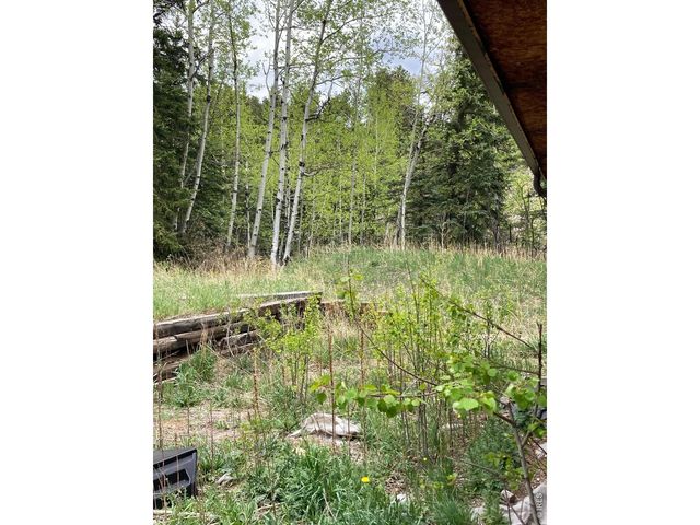1064 Cold Springs Rd, Nederland, CO 80466